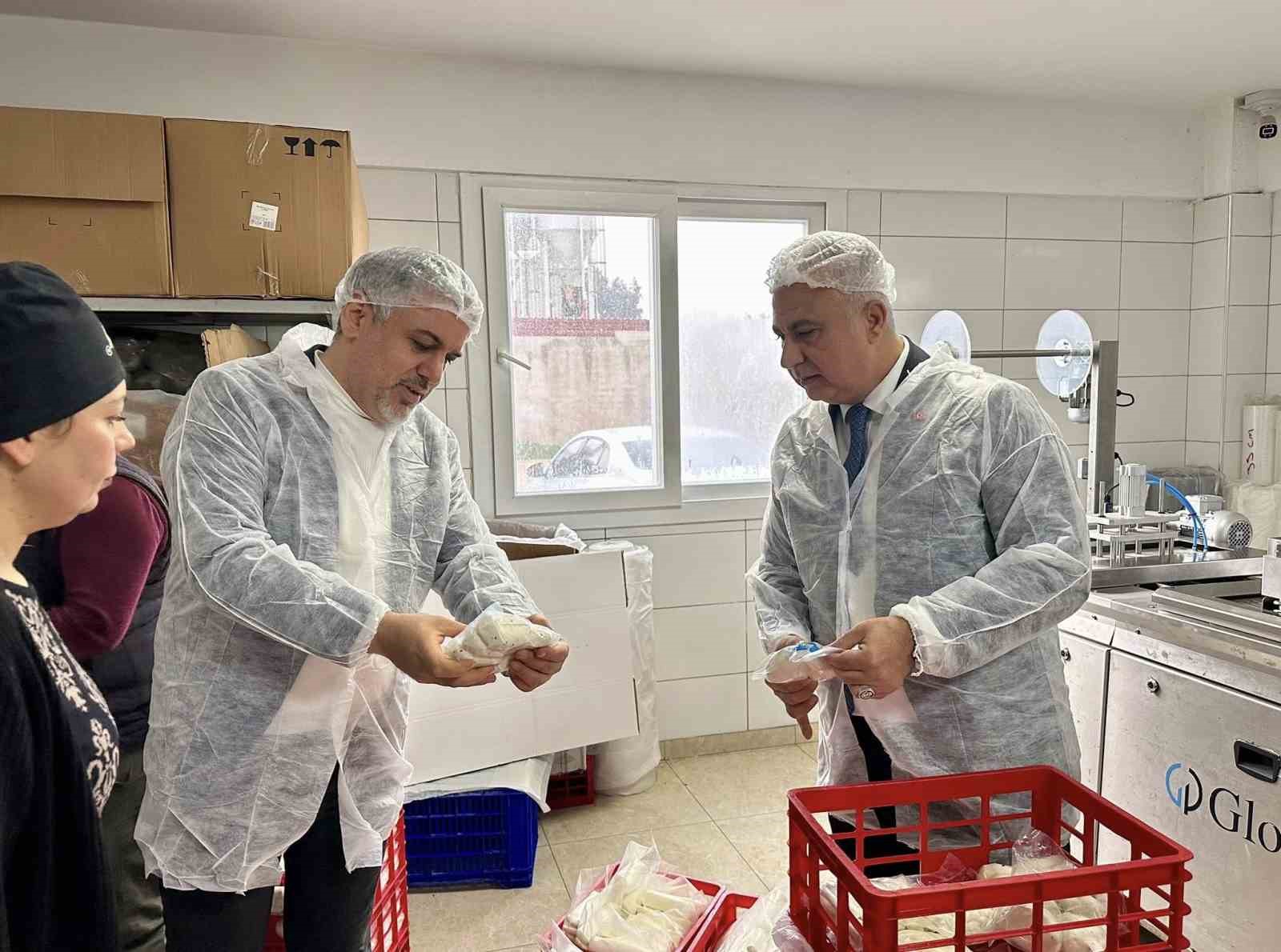 Antakya’da süt ürünleri üreten firma incelendi