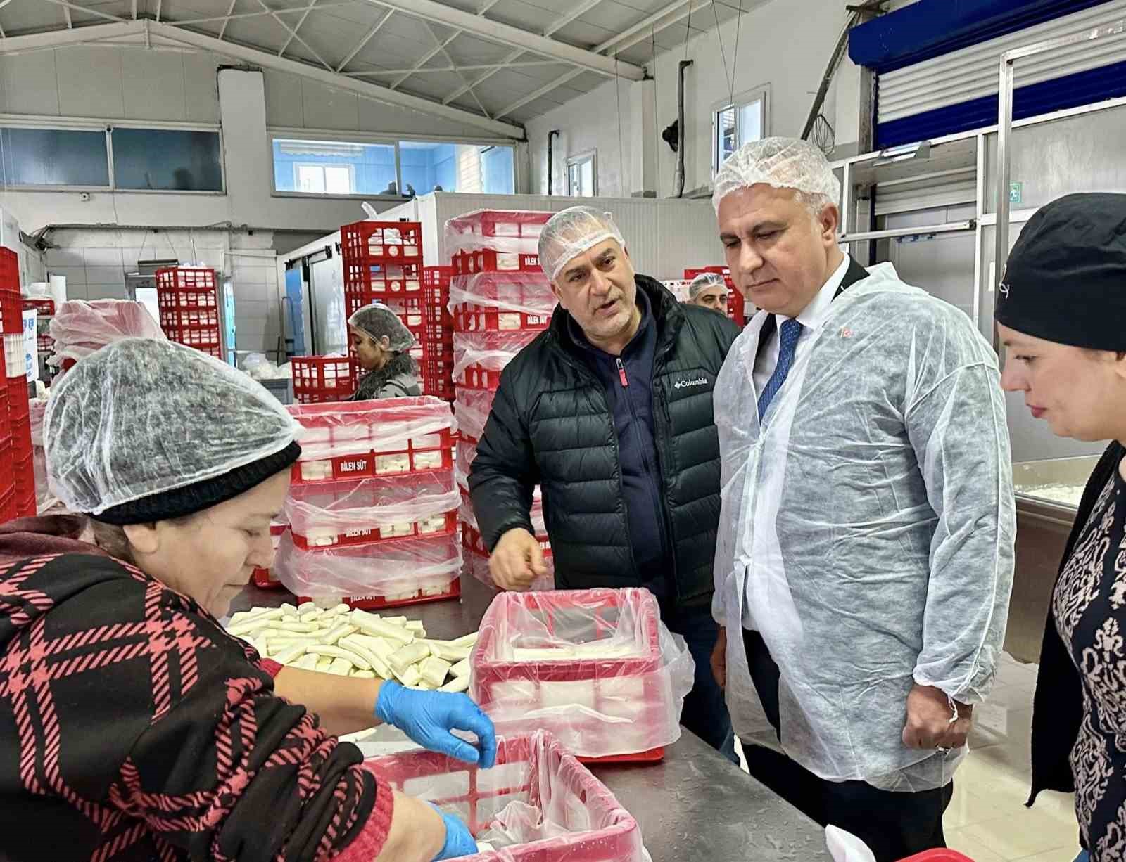 Antakya’da süt ürünleri üreten firma incelendi