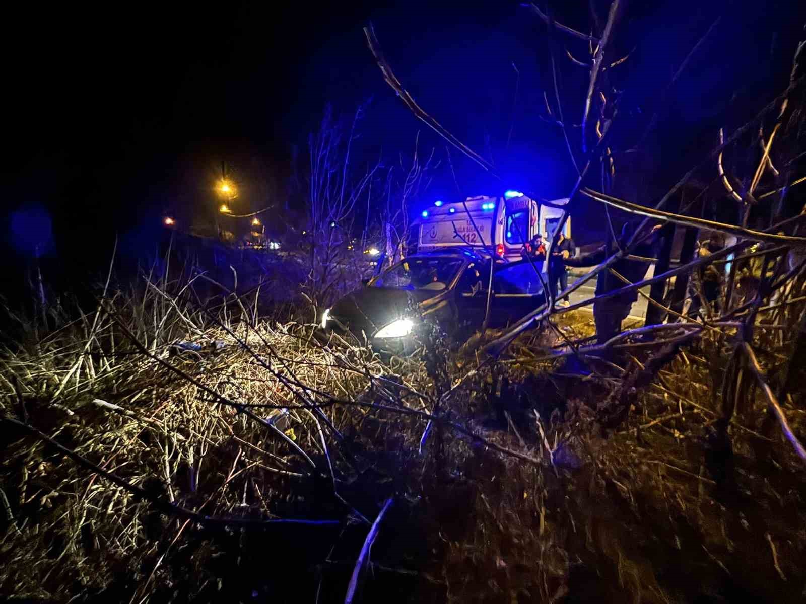 Kontrolden çıkan otomobil tarlaya girdi, sürücü yaralandı