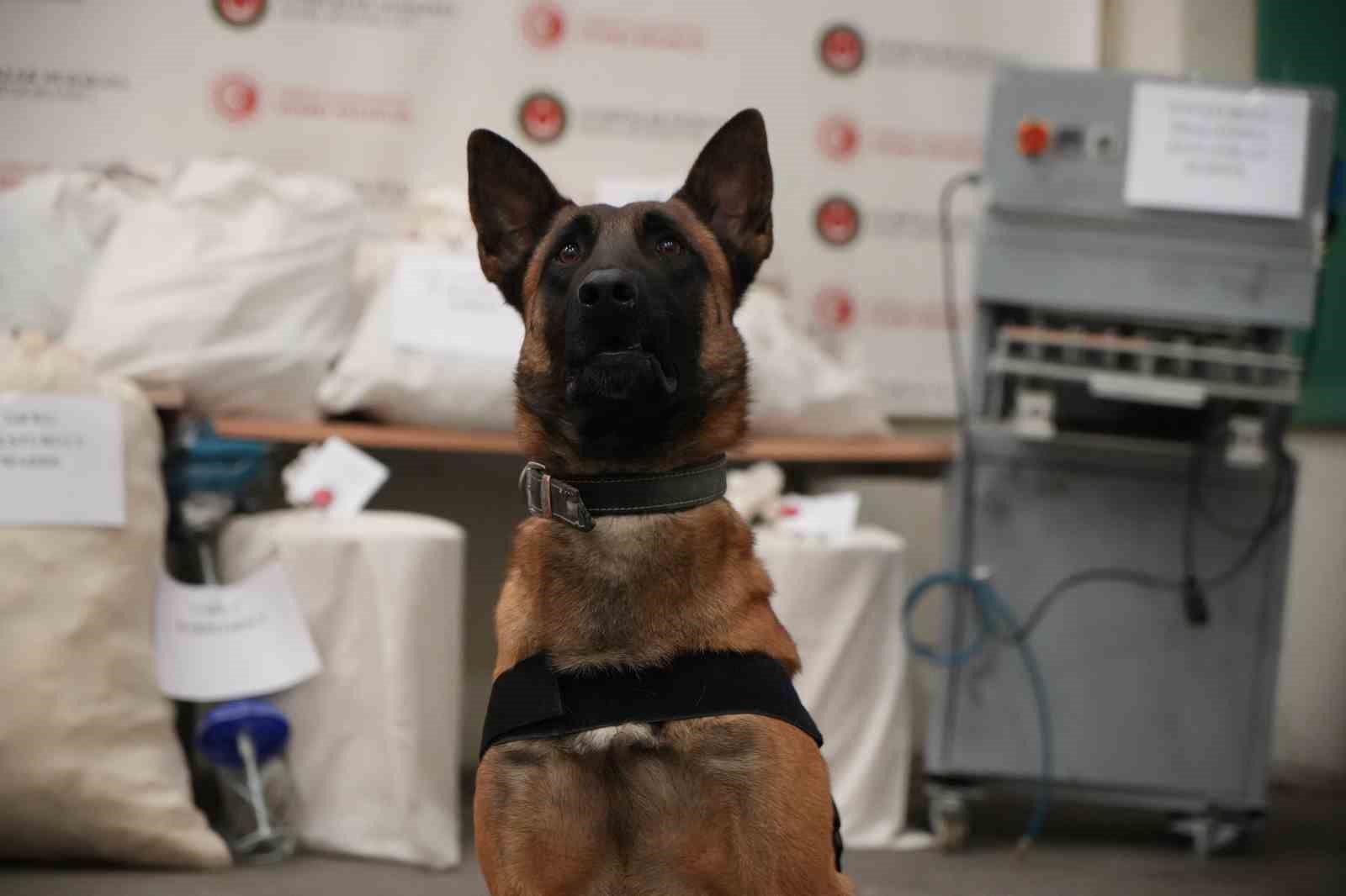 Edirne’de evini uyuşturucu imalathanesine çevirmiş: Operasyonda 117 kilo uyuşturucu ele geçirildi