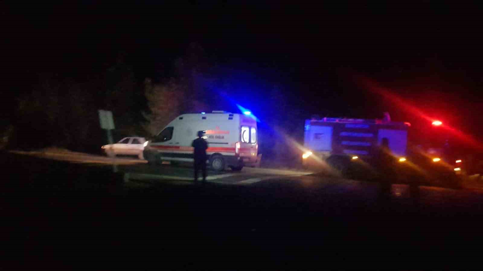 Orman yangınında hasar gören ağaçları taşıyan tır devrildi: 3 yaralı