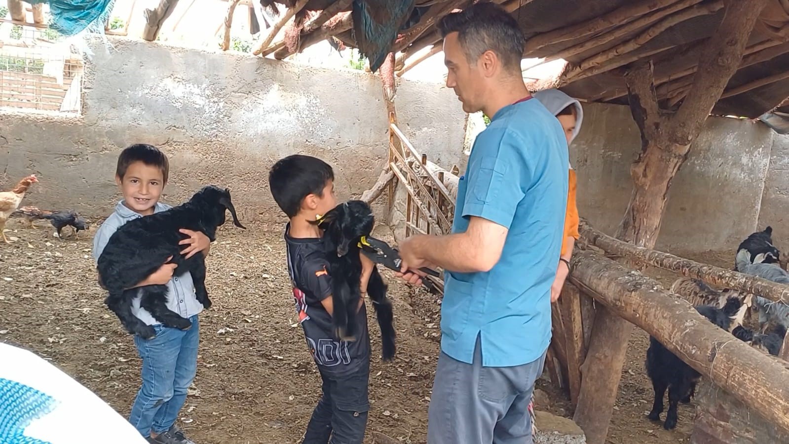 Şırnak’ta hayvancılığa 2025’te güçlü dokunuş