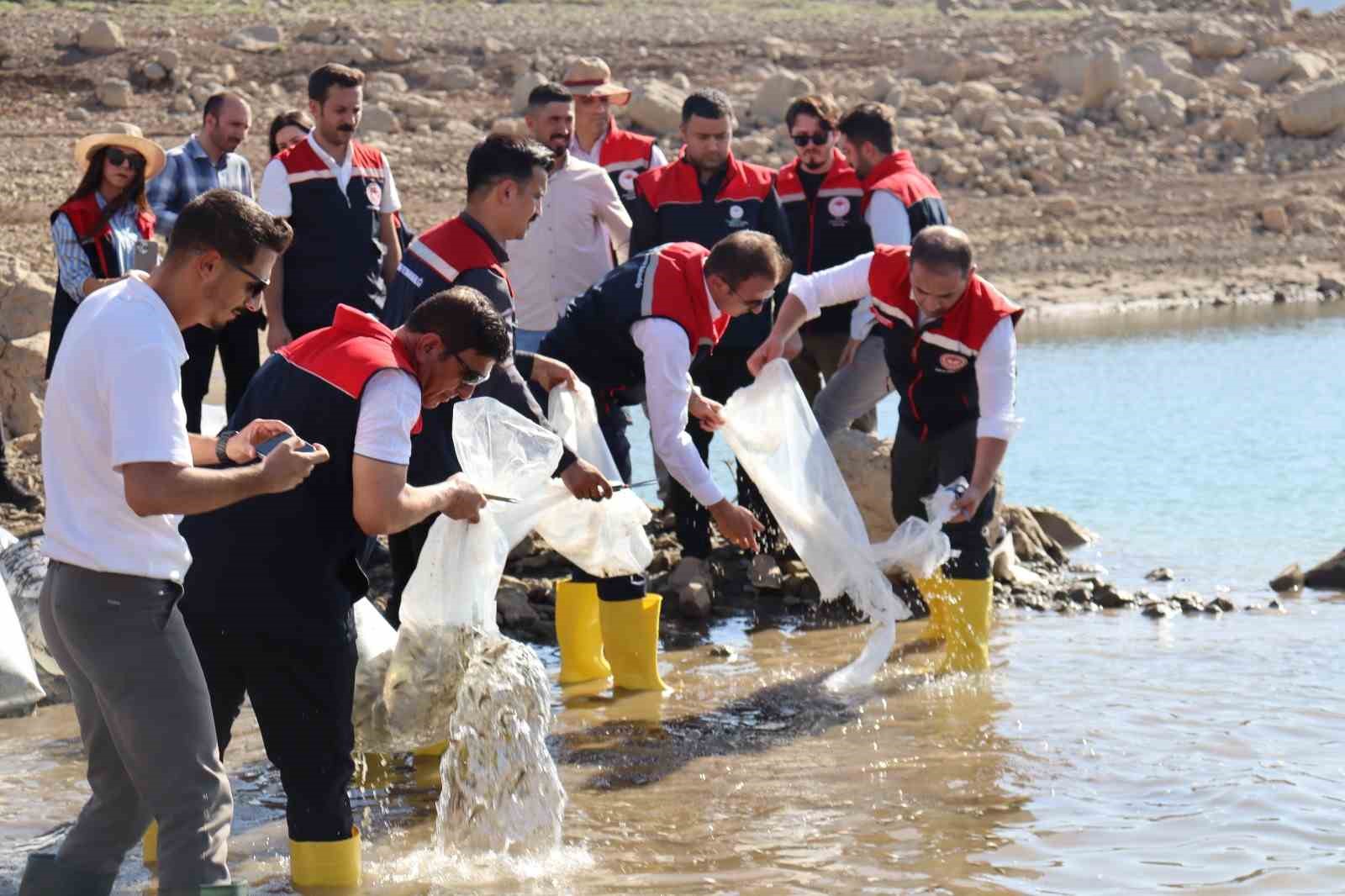 Şırnak’ta hayvancılığa 2025’te güçlü dokunuş