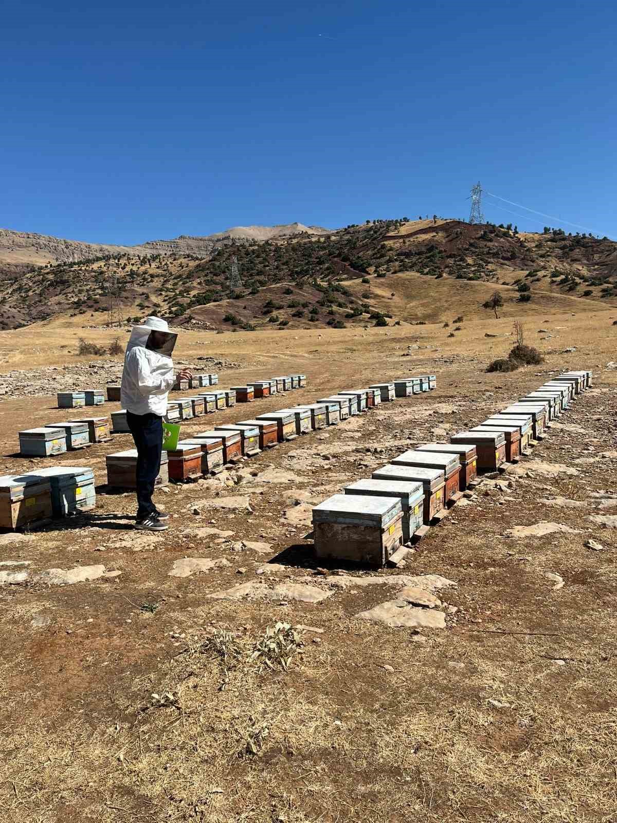 Şırnak’ta hayvancılığa 2025’te güçlü dokunuş