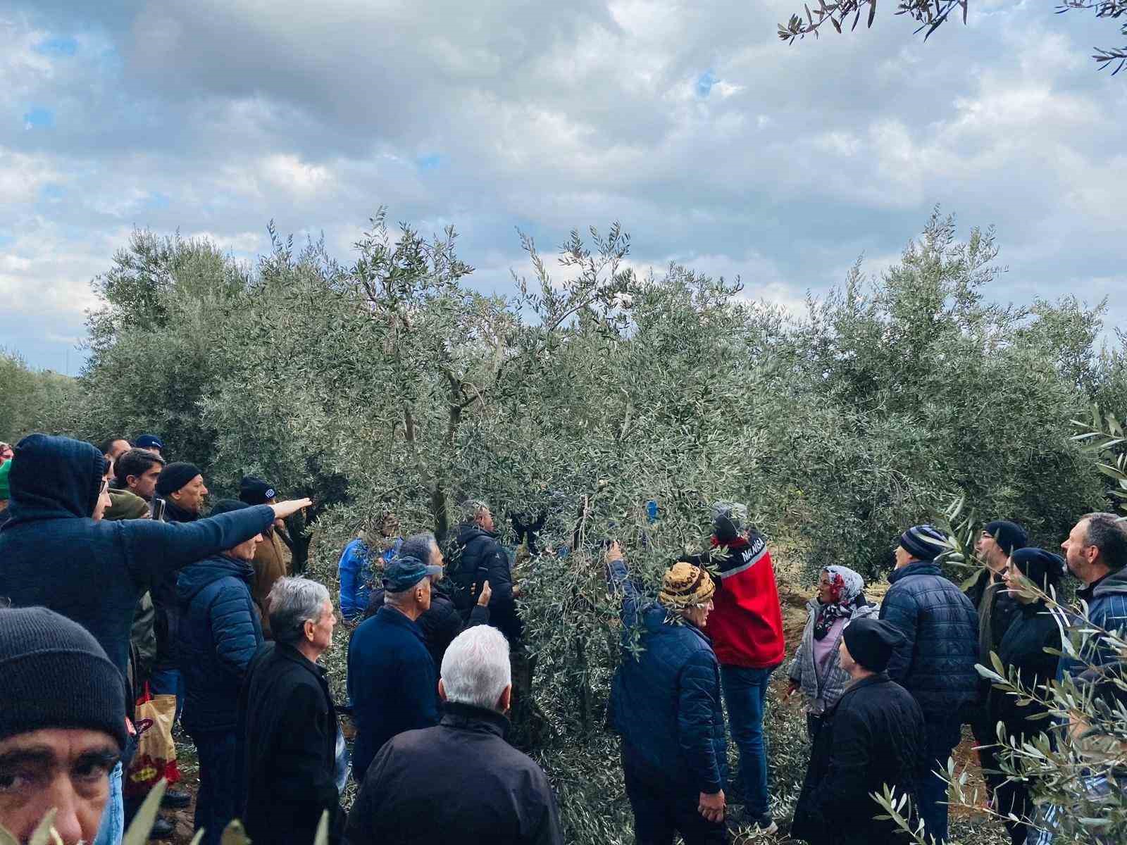 Salihli’de üreticilere ücretsiz budama kursuna yoğun ilgi