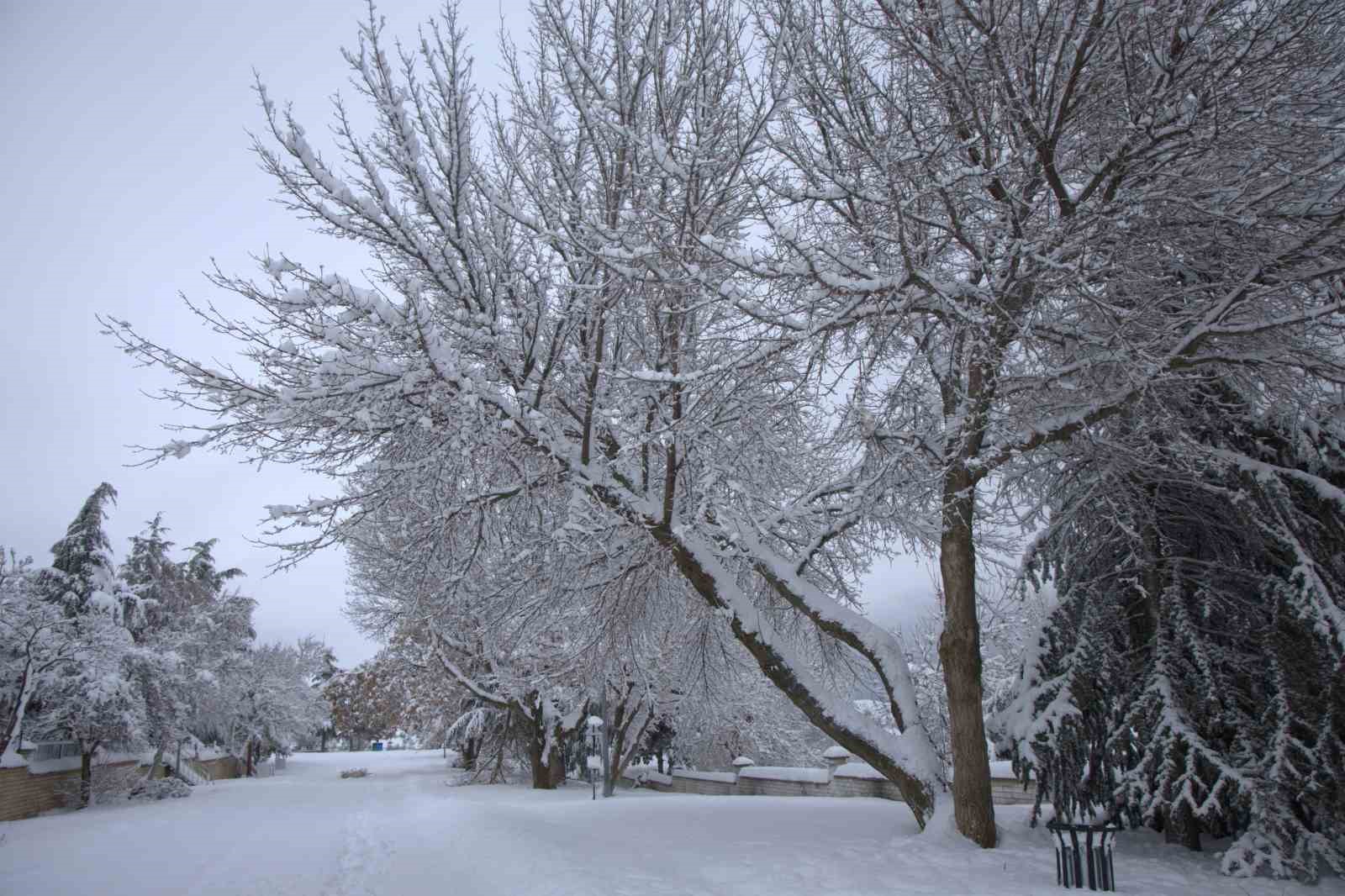 Yoğun kar yağışı Harput’ta çok sayıda ağacın dallarını kırdı
