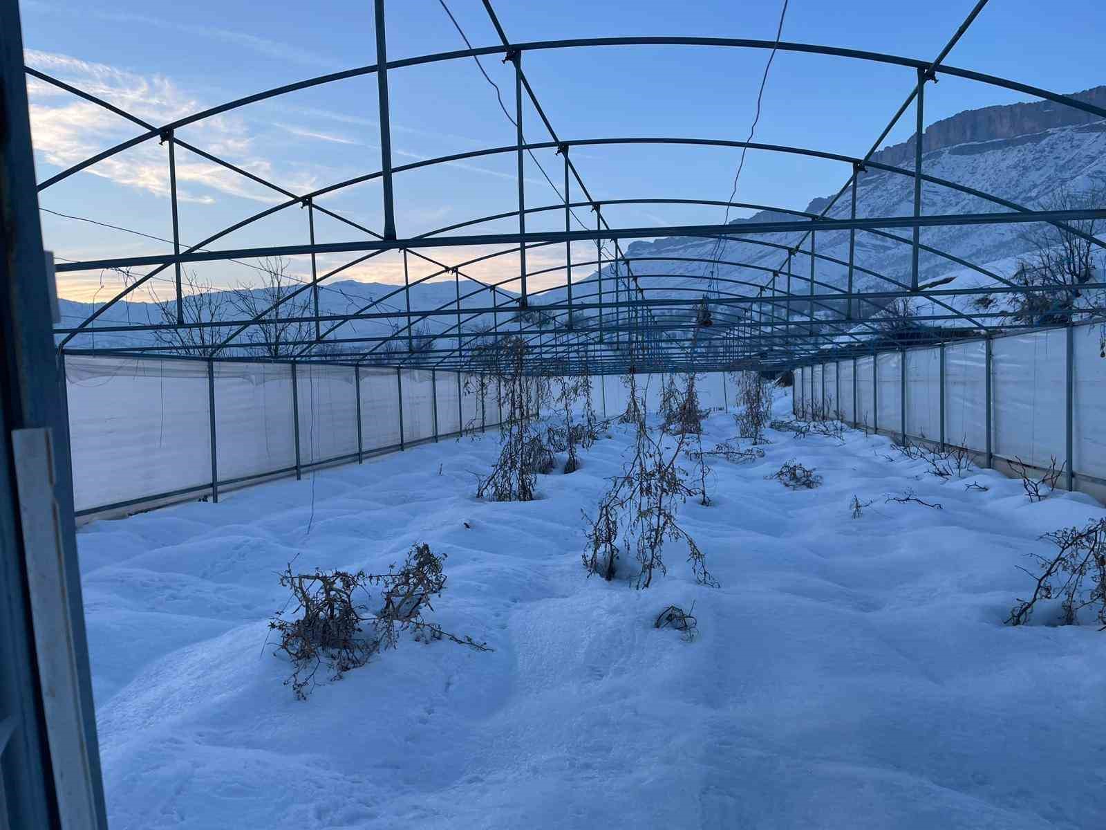 Derecik’te kardan dolayı 38 sera zarar gördü