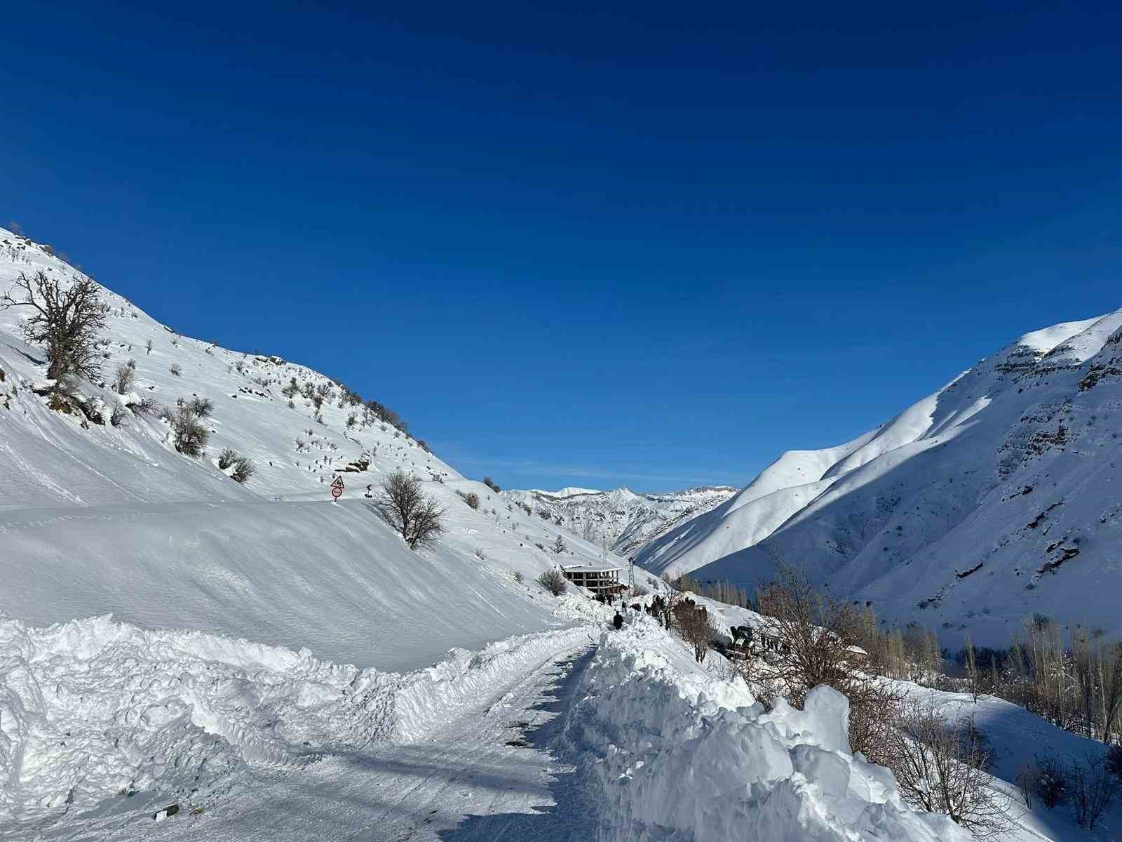 Dicle Elektrik’ten zorlu kış şartlarında kesintisiz enerji mesaisi