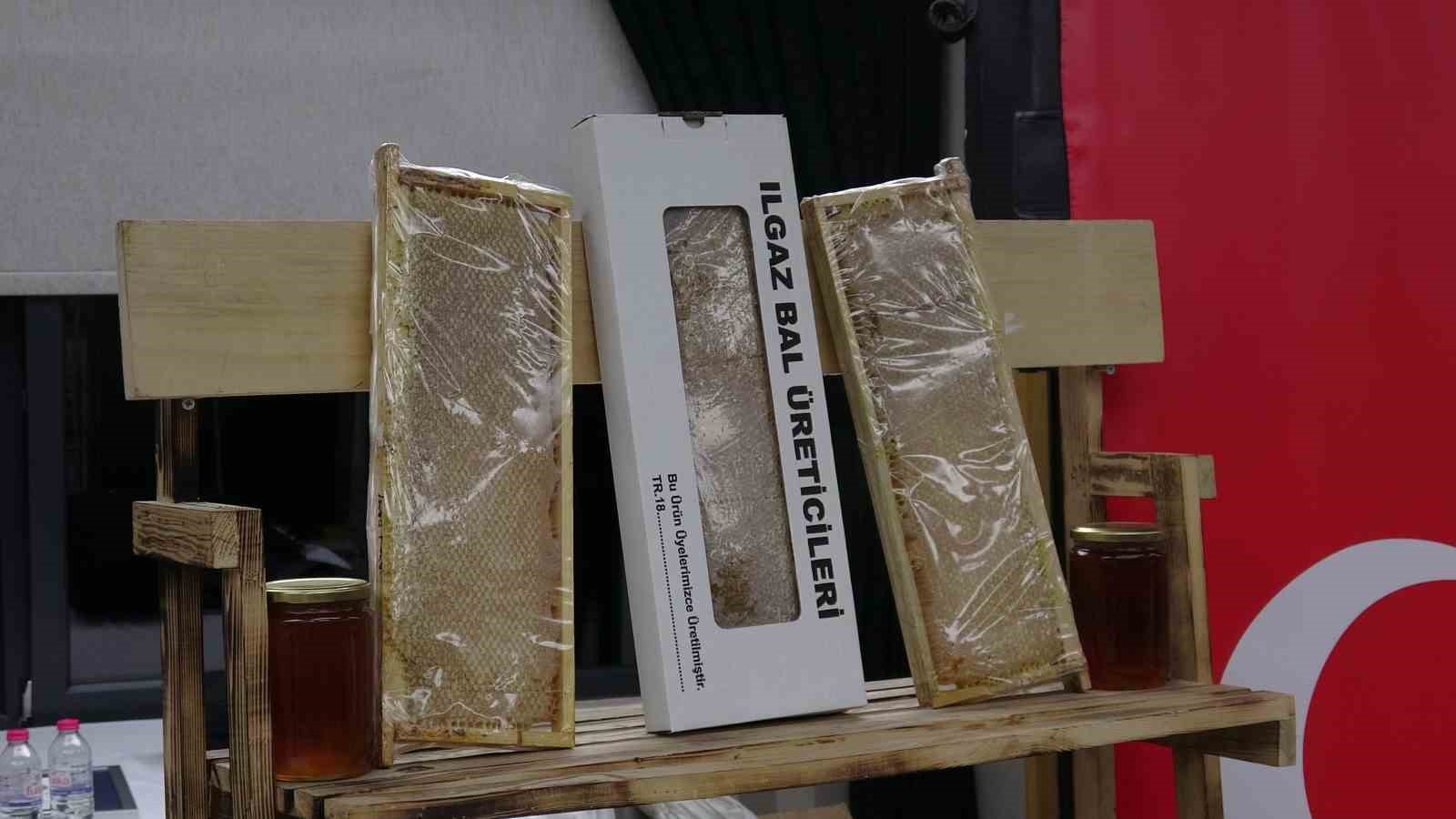 Ilgaz balı dünyanın en pahalı balı olarak Guinness Rekorlar Kitabı’na girdi