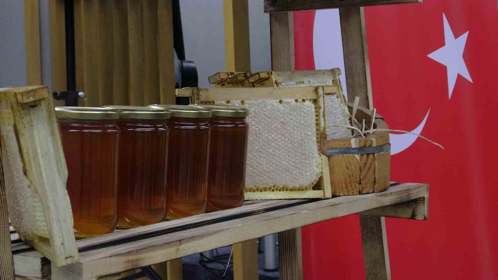 Ilgaz balı dünyanın en pahalı balı olarak Guinness Rekorlar Kitabı’na girdi