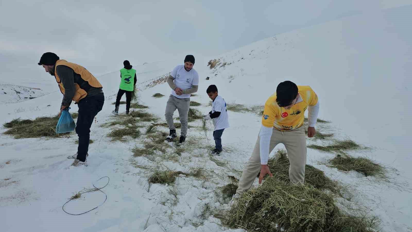 Adilcevaz’da yaban hayvanları unutulmadı: Aktivistlerden Süphan Dağı eteğine yem bıraktı