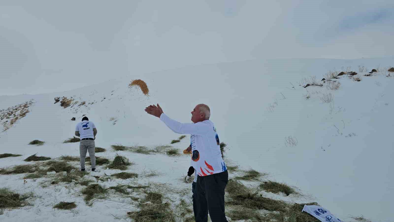 Adilcevaz’da yaban hayvanları unutulmadı: Aktivistlerden Süphan Dağı eteğine yem bıraktı