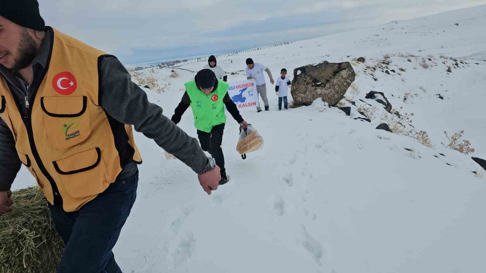Adilcevaz’da yaban hayvanları unutulmadı: Aktivistlerden Süphan Dağı eteğine yem bıraktı