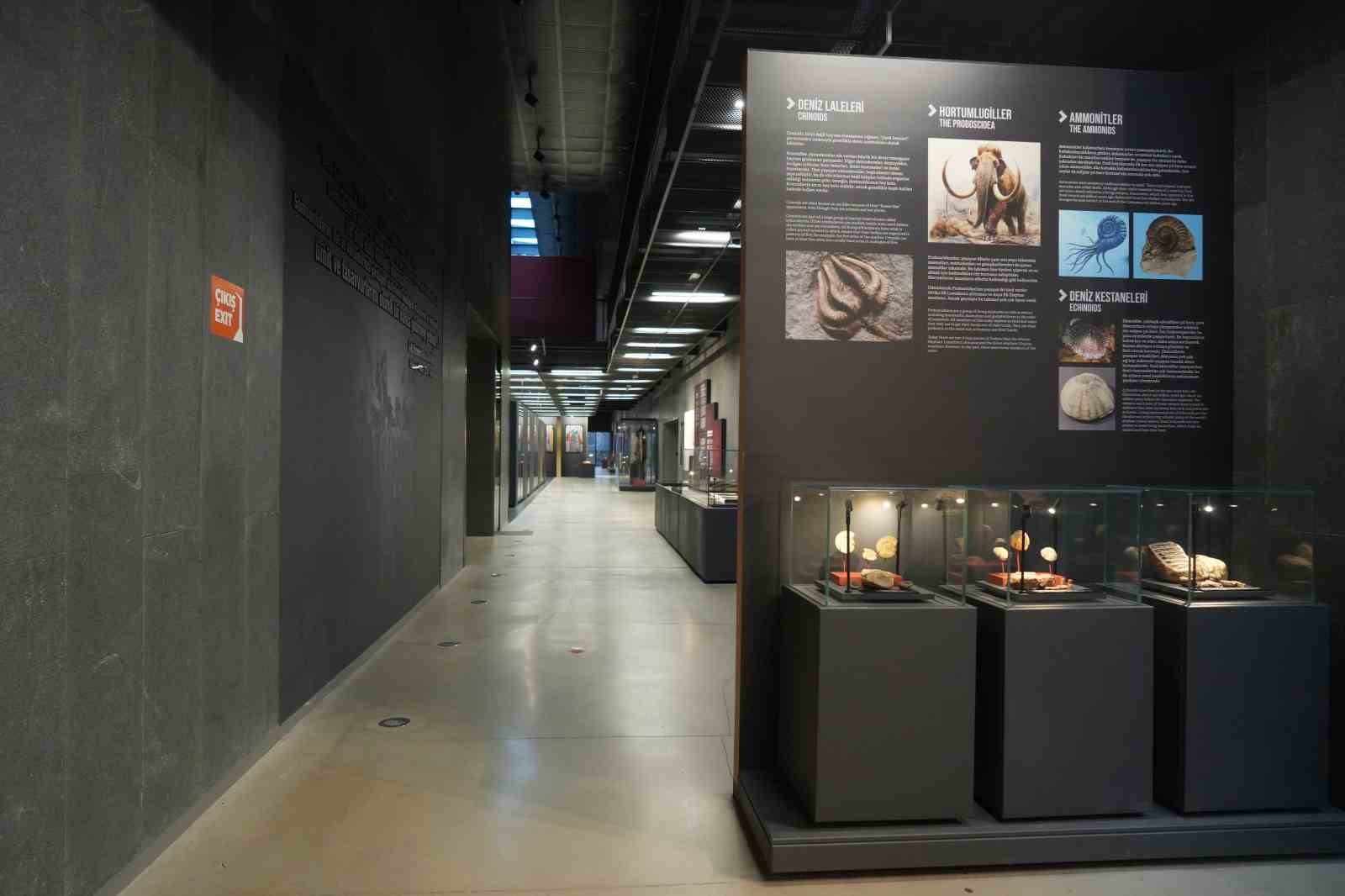 5 bin yıllık kafatası ve Amisos Hazineleri ilgi odağı oldu