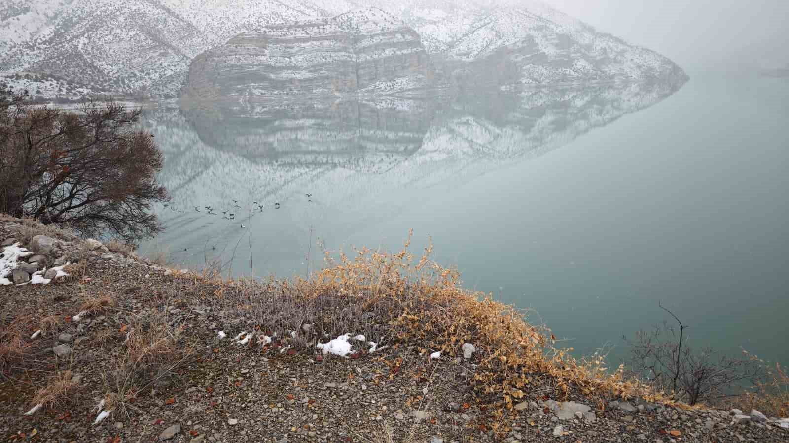 Tortum Gölü’nde kış ortası kuş sayımı yapıldı