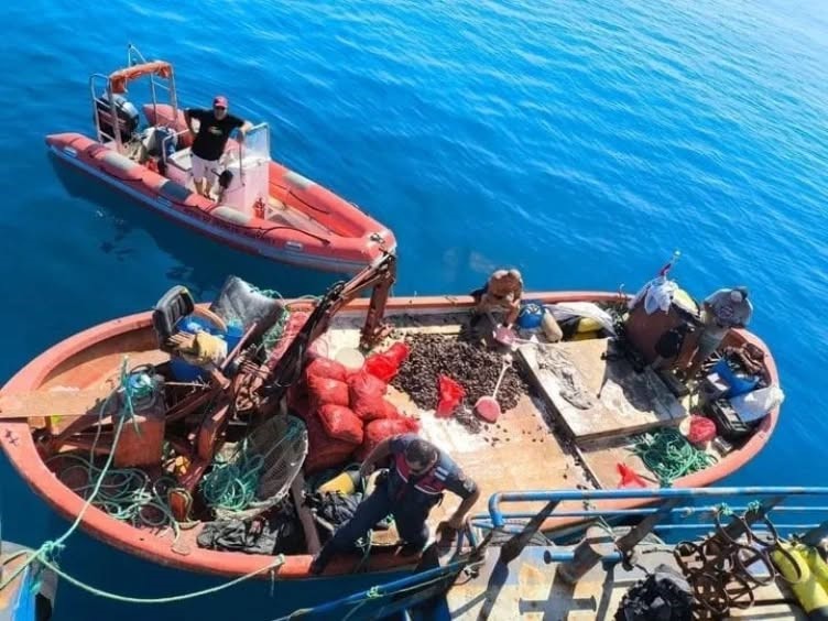 Aydın’da yasa dışı avcılığa geçit verilmiyor: “Bir yılda 5 bin denetim yapıldı”