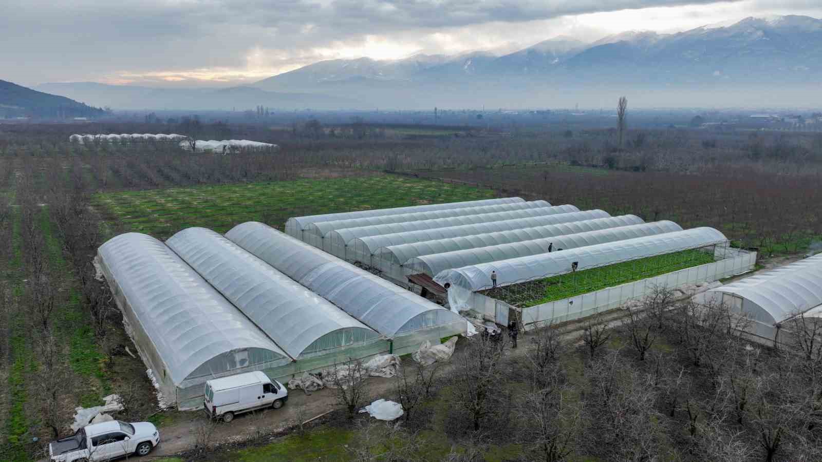 Lodostan zarar gören seralara Büyükşehir desteği