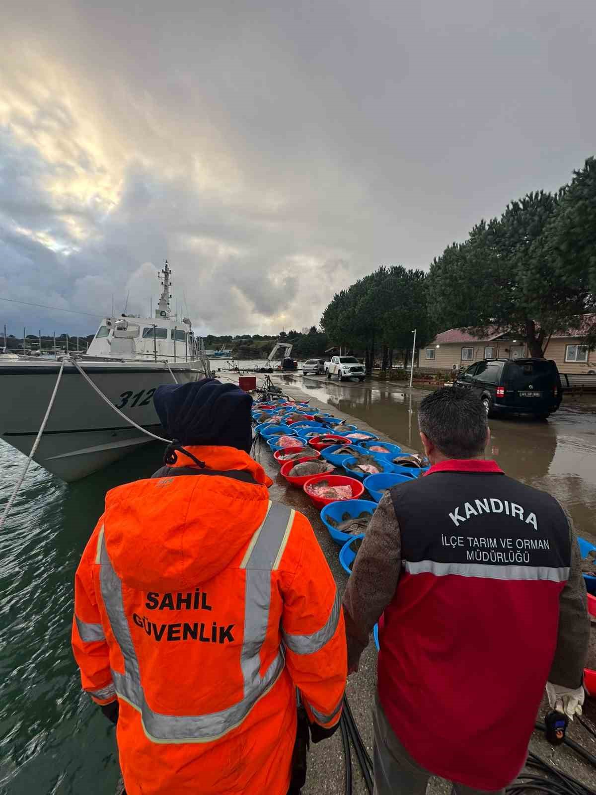 Kaçak avcılık operasyonunda 500 kalkan balığına el konuldu