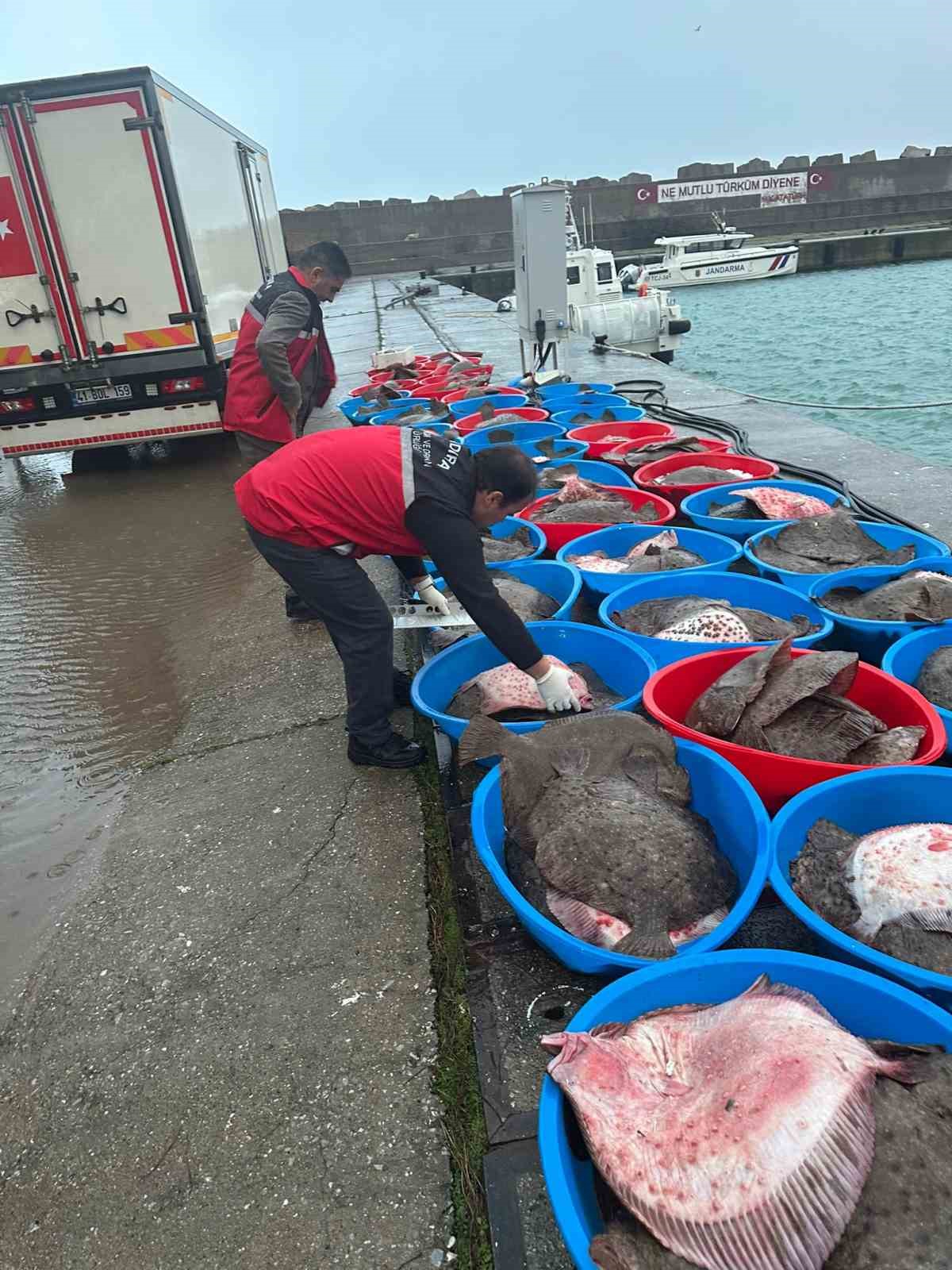 Kaçak avcılık operasyonunda 500 kalkan balığına el konuldu