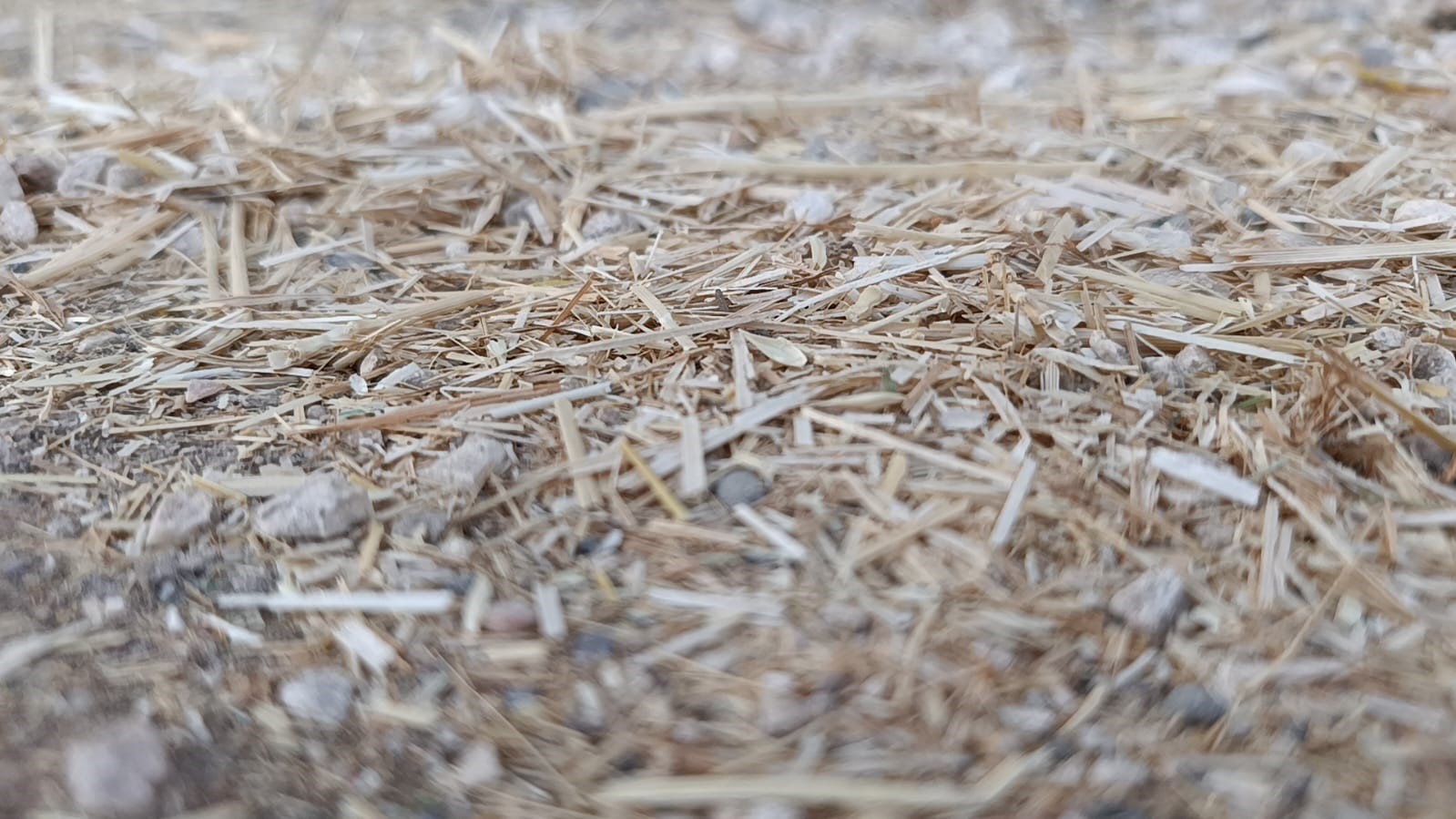 Kaldırımda yürürken hayatının şokunu yaşadı