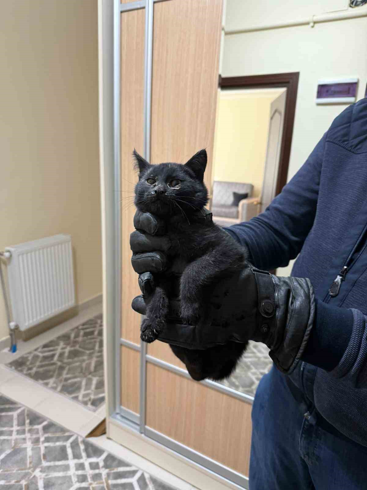 Bacaya giren kedi itfaiyenin 6 saatlik operasyonuyla kurtarıldı