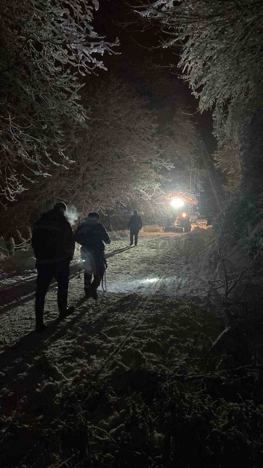 Sinop’ta ağaç devrildi