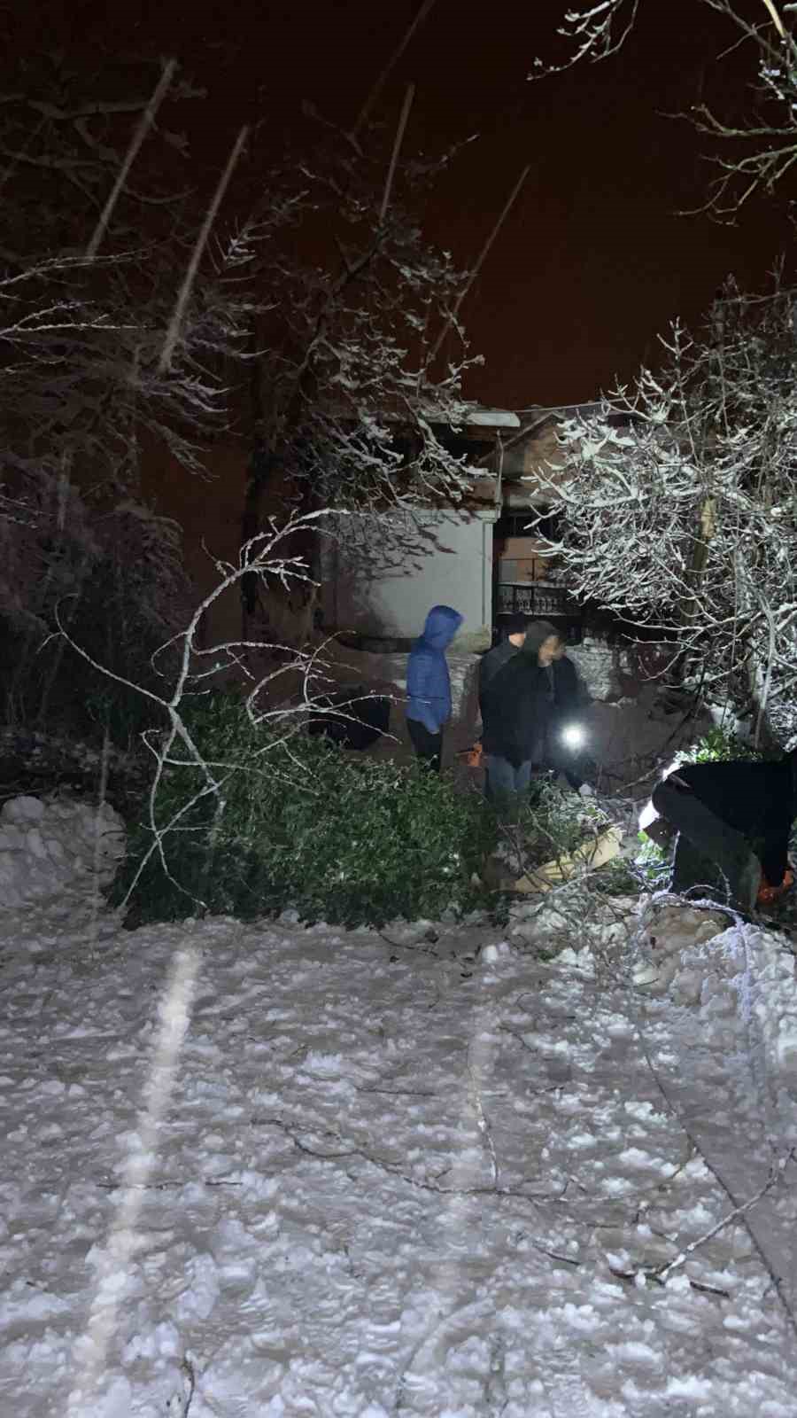 Sinop’ta ağaç devrildi