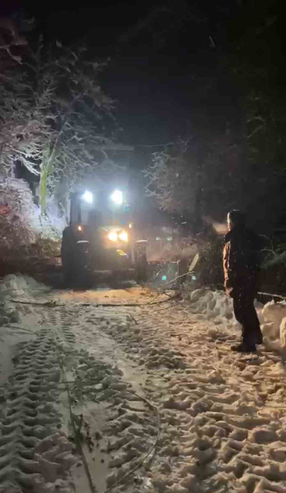 Sinop’ta ağaç devrildi