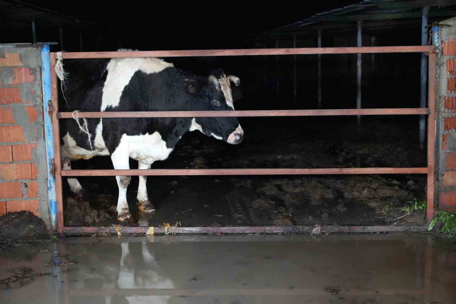 Edirne’de sağanak yağış, su baskınlarına yol açtı