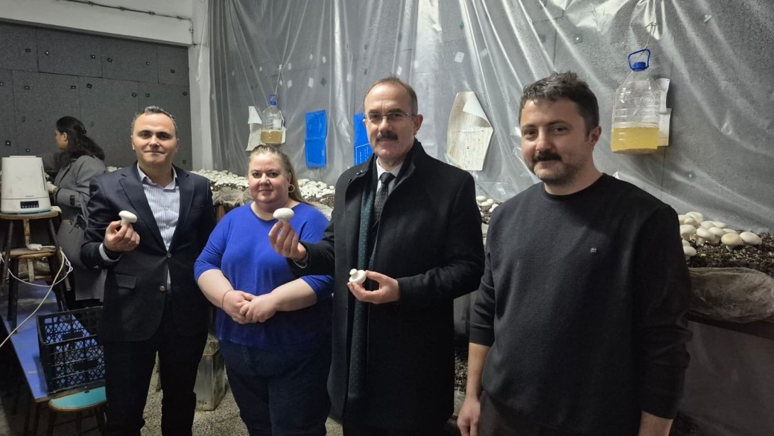 Öğrencilerin yetiştirdiği kültür mantarı hasadı yapıldı