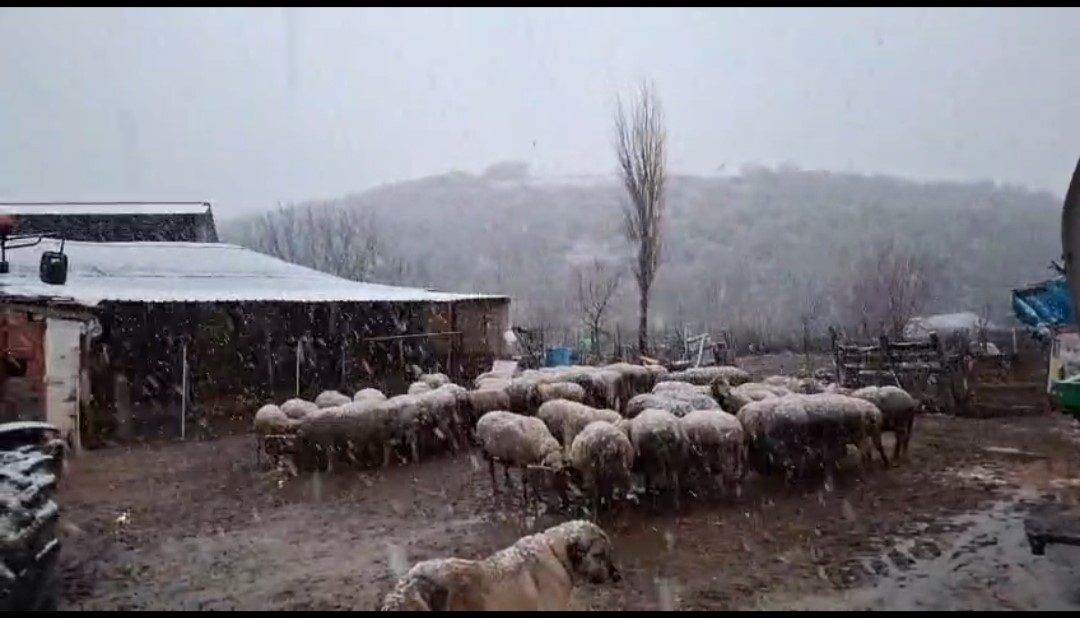 Edirne’nin Hamzabeyli köyünde kar yağışı başladı