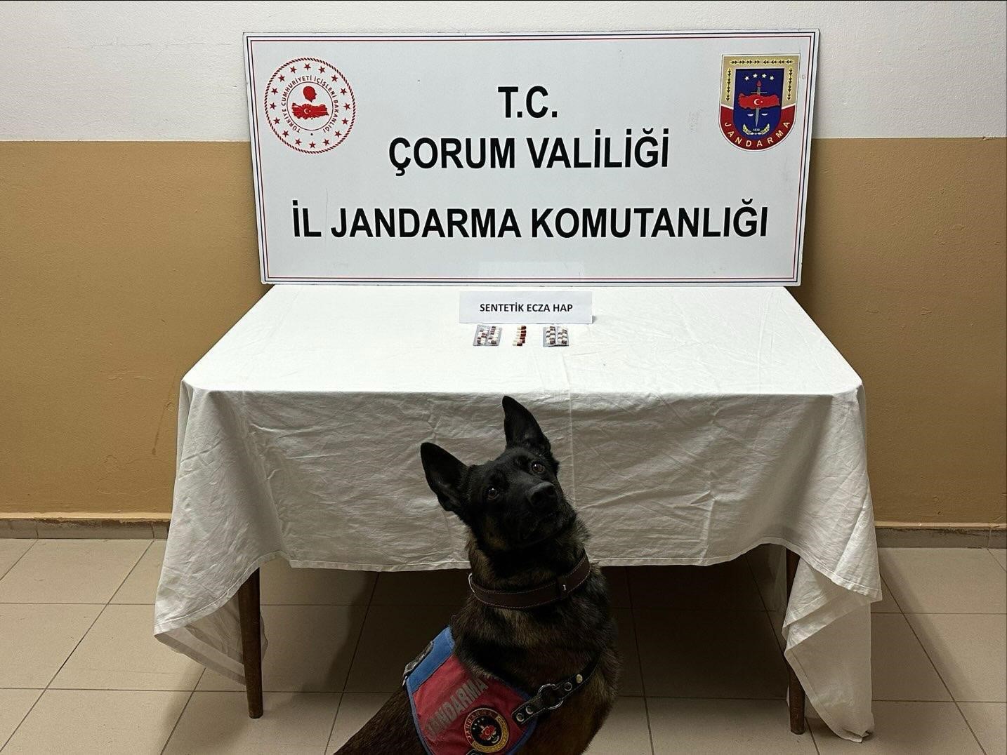 Çorum’da uyuşturucu hapla yakalanan 3 kişi gözaltına alındı