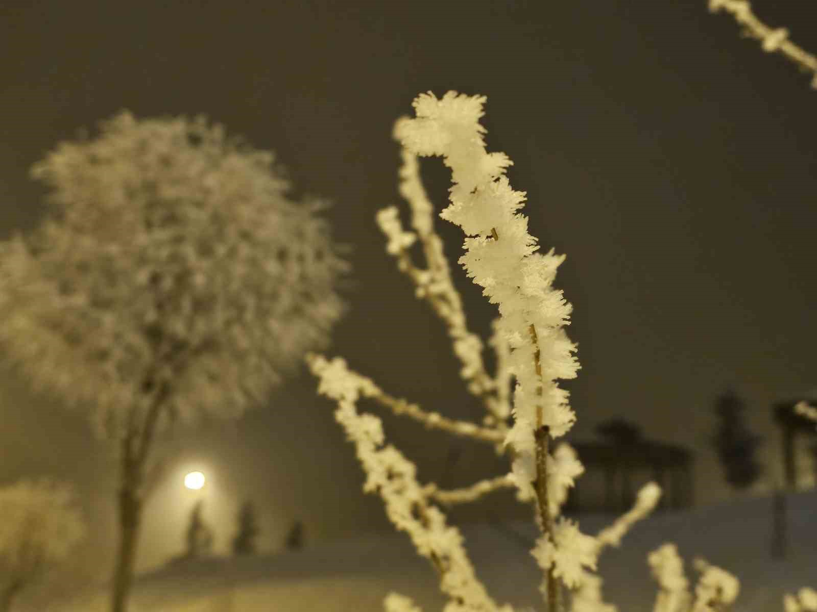 Elazığ’da ağaçlar kırağı tuttu