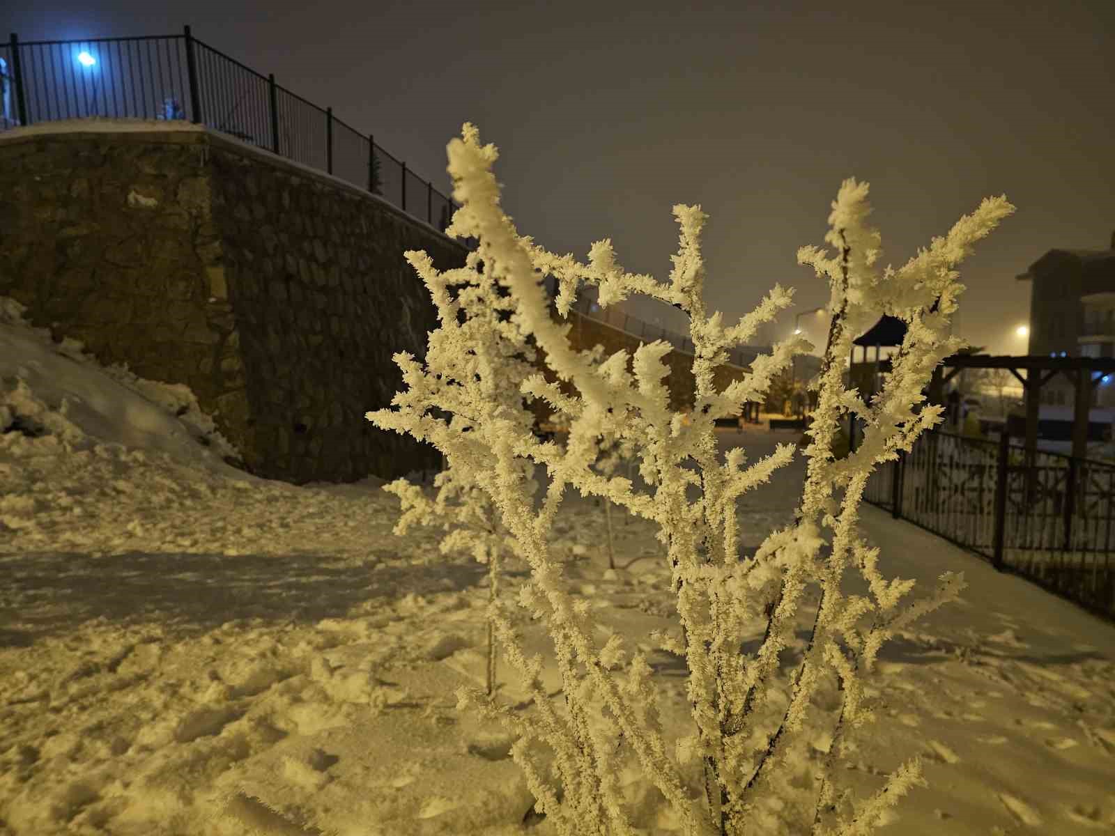 Elazığ’da ağaçlar kırağı tuttu