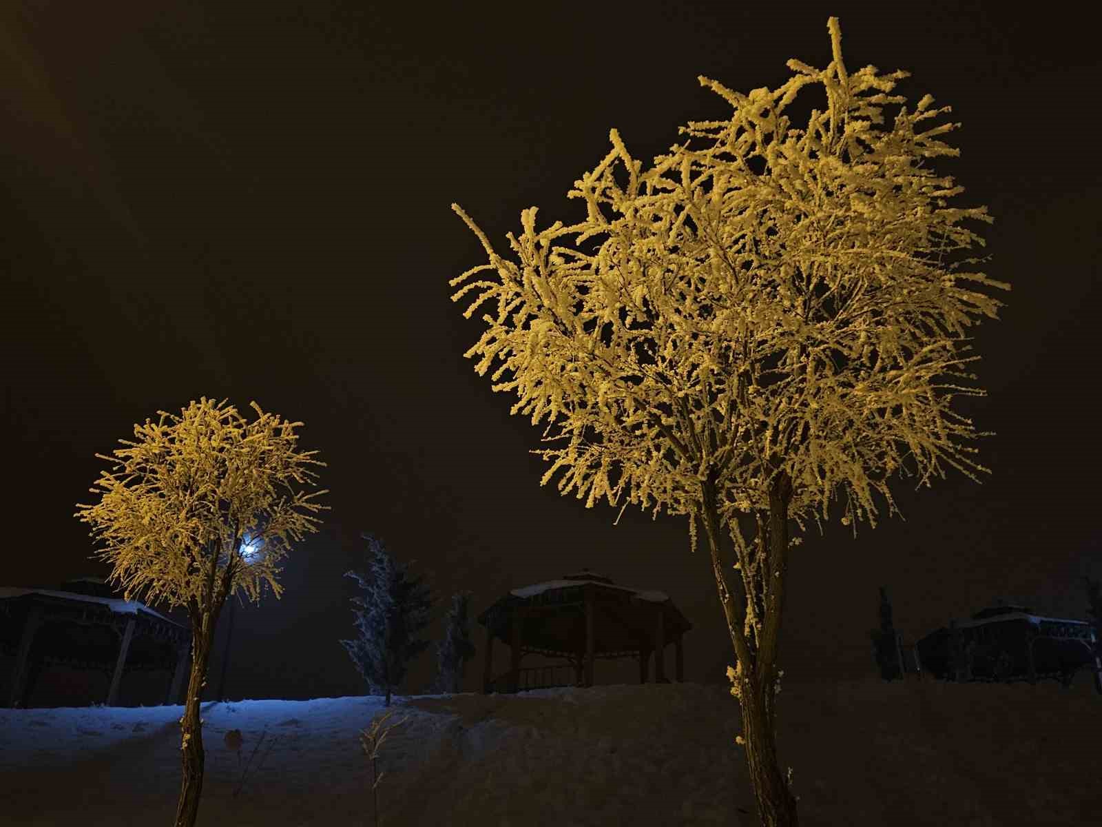 Elazığ’da ağaçlar kırağı tuttu