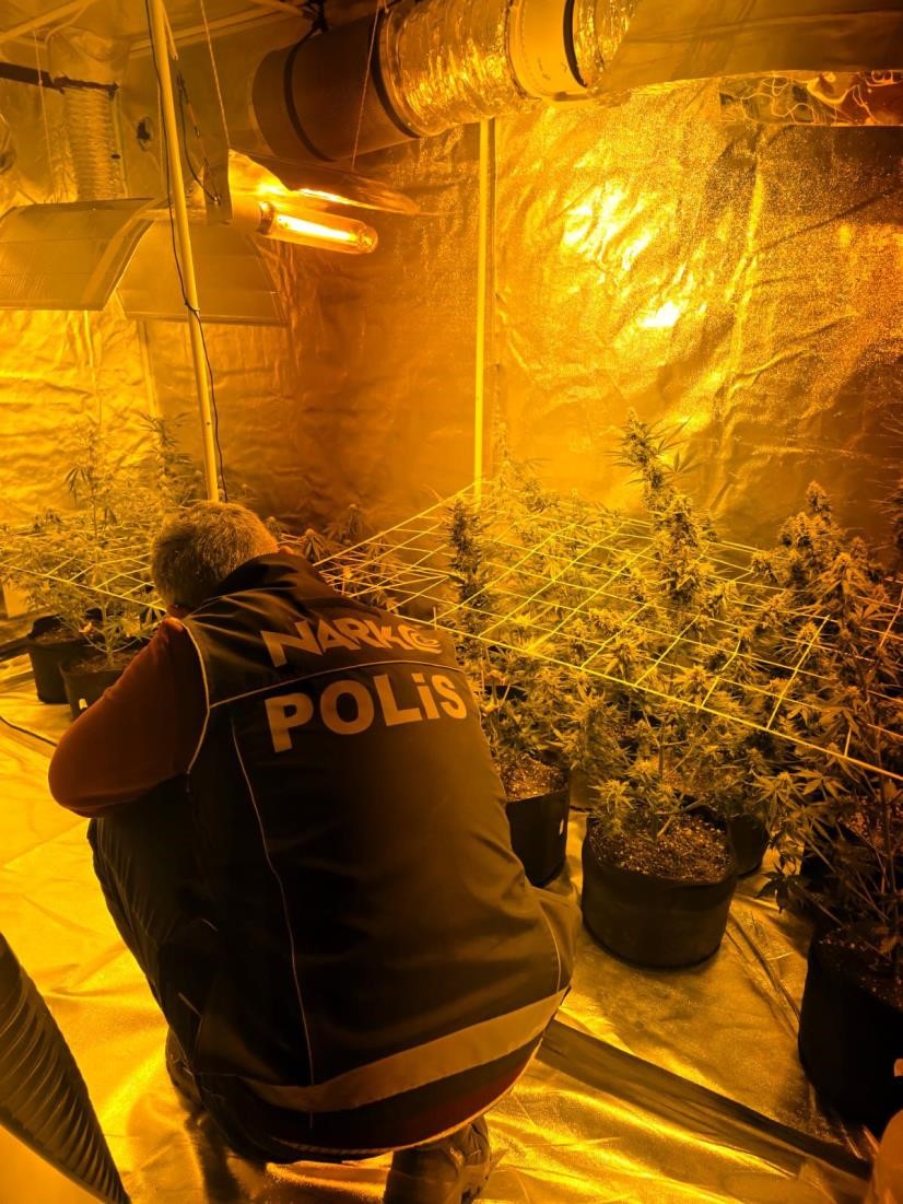 Didim’de uyuşturucu operasyonu: Kenevir yetiştirme kabini ele geçirildi