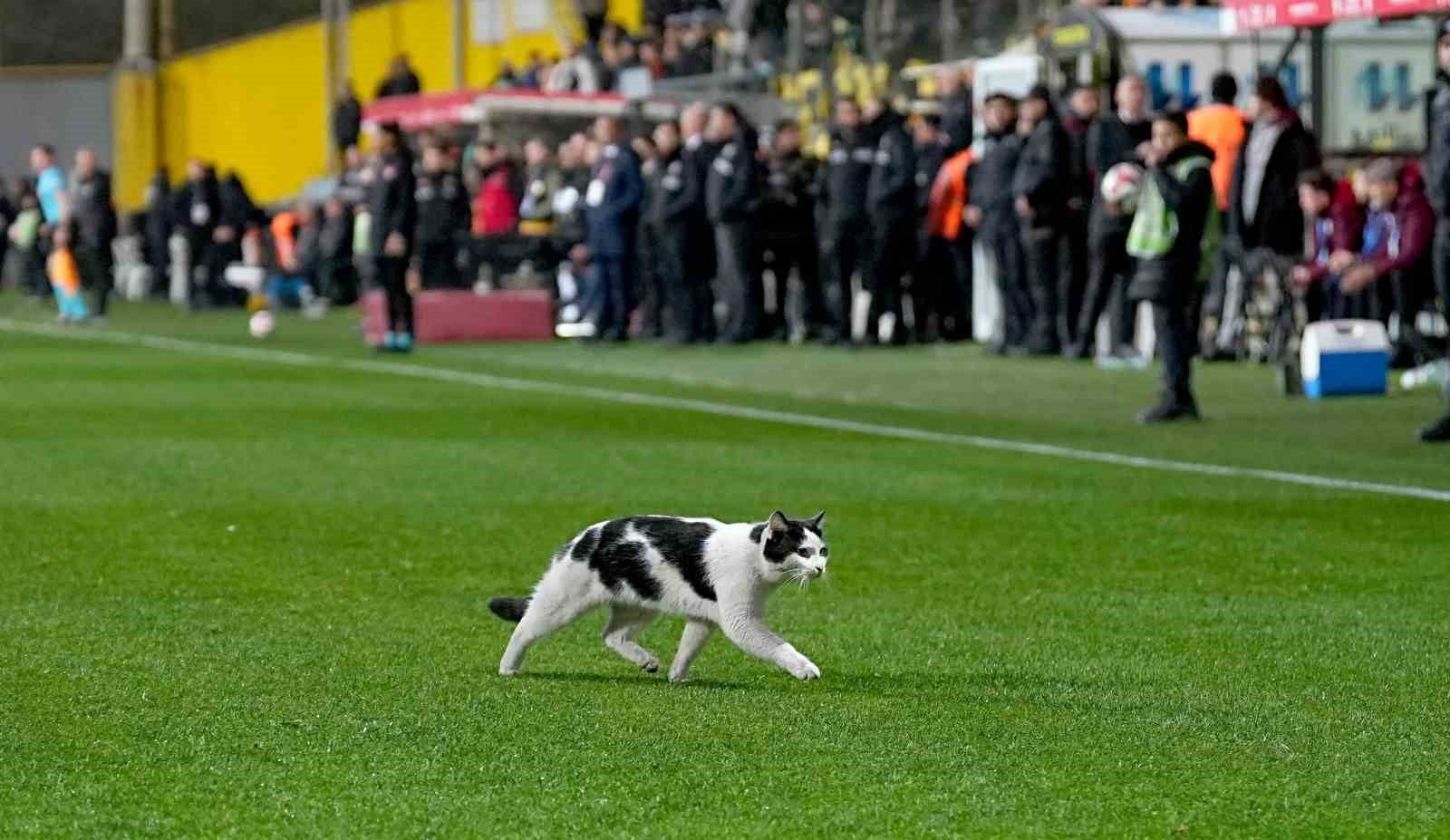 Ziraat Türkiye Kupası: İstanbulspor: 1 - Trabzonspor: 6 (Maç sonucu)
