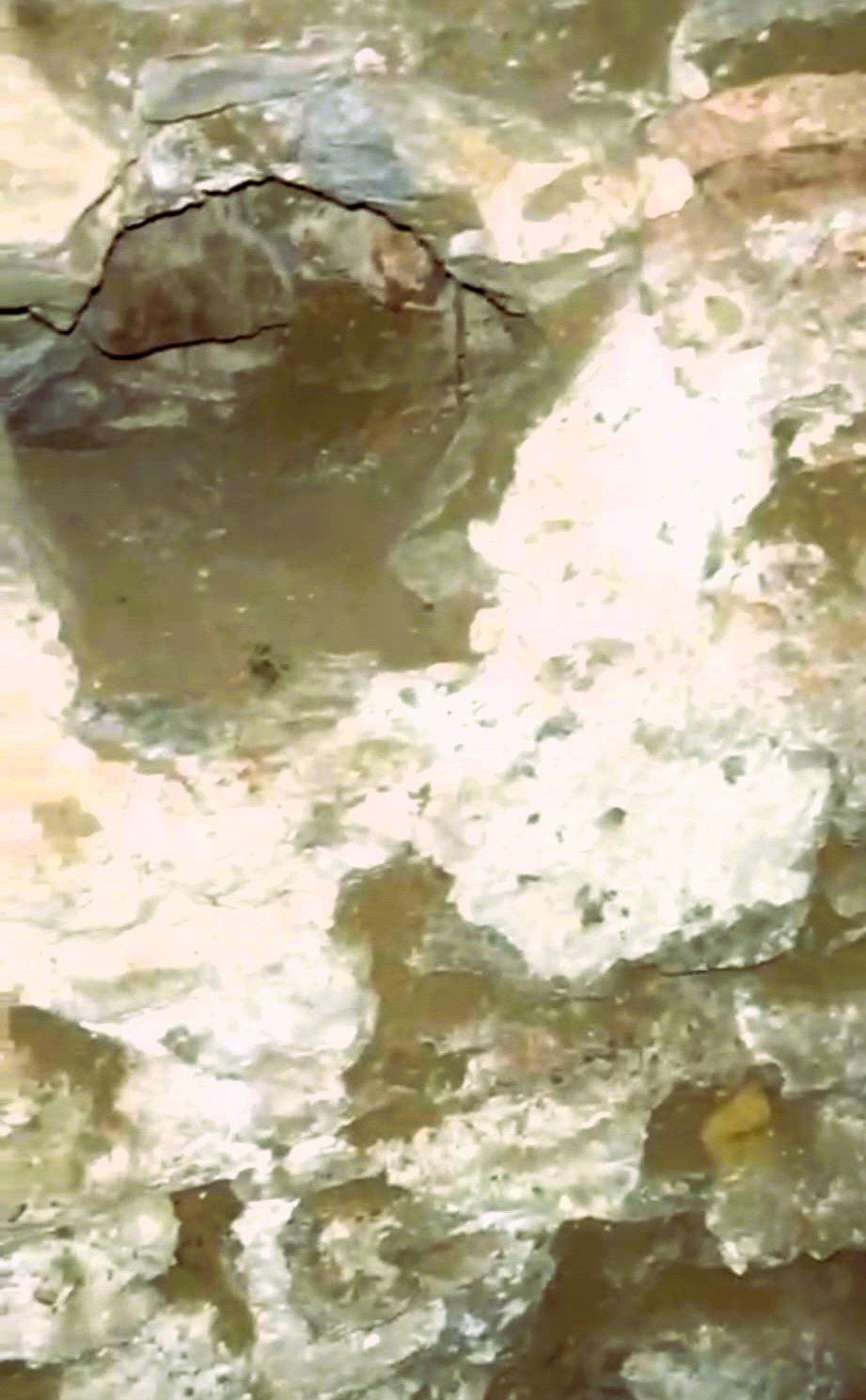 Defineciler 300 yıllık tarihi hamamı talan etti