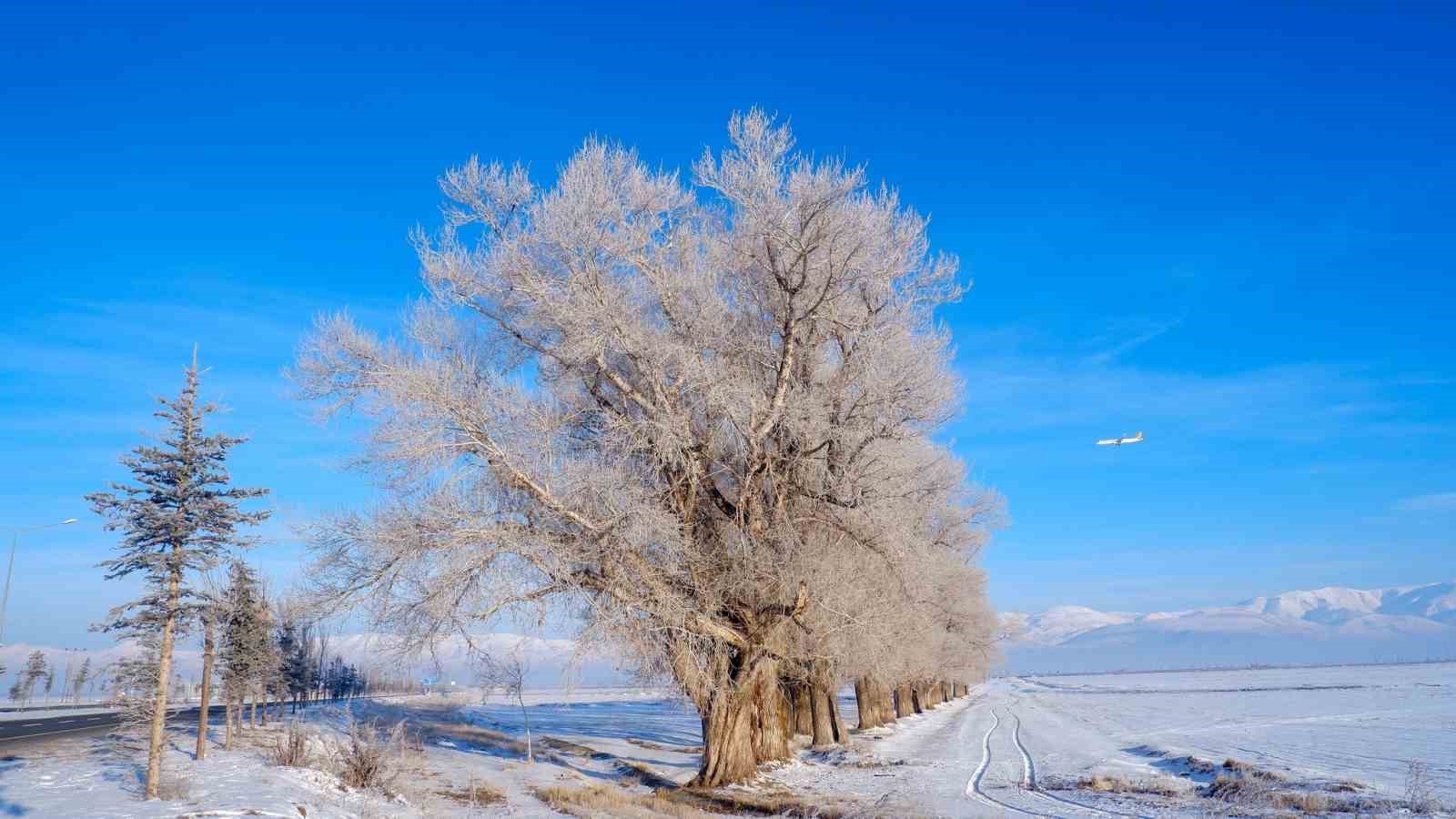 Doğu yine buz kesti