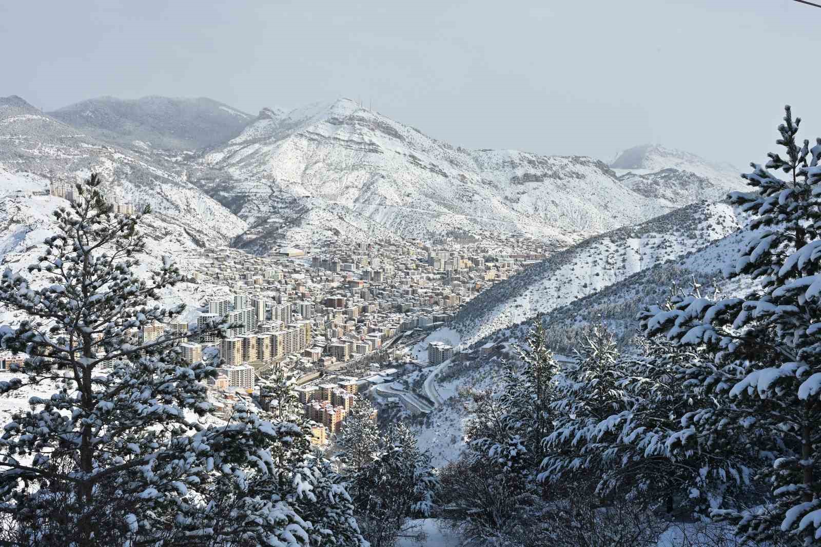 Gümüşhane’de kar görsel şölene dönüştü