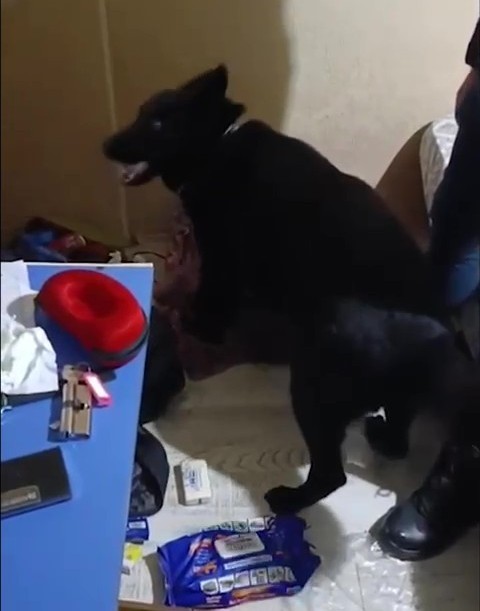 Zehir tacirleri 2.3 kilo uyuşturucuyu lif ve pamuklara emdirerek satmaya çalıştı