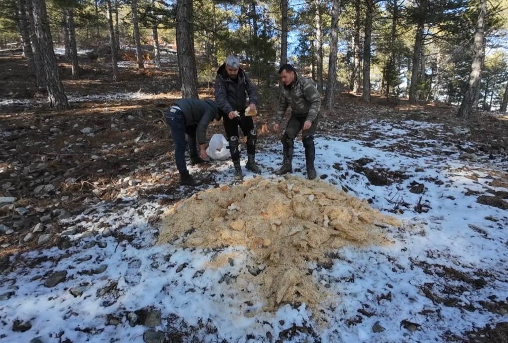 Motosiklet tutkunları Amanoslar’da yaban ve sokak hayvanlarını unutmadı