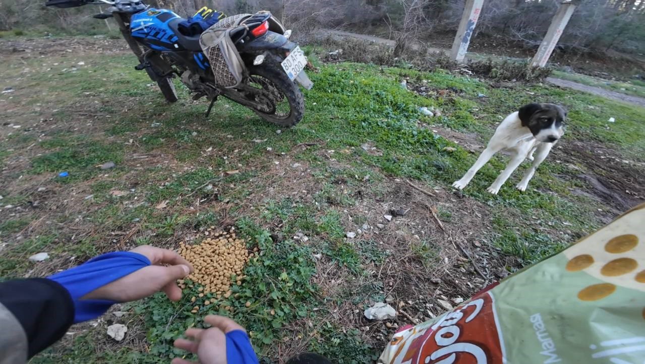 Motosiklet tutkunları Amanoslar’da yaban ve sokak hayvanlarını unutmadı
