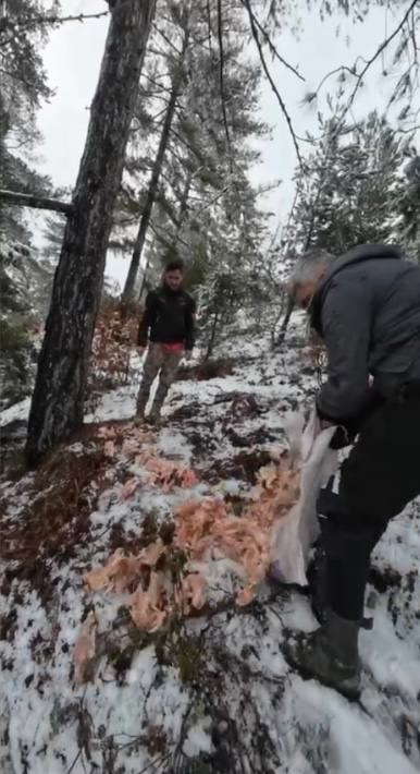 Motosiklet tutkunları Amanoslar’da yaban ve sokak hayvanlarını unutmadı