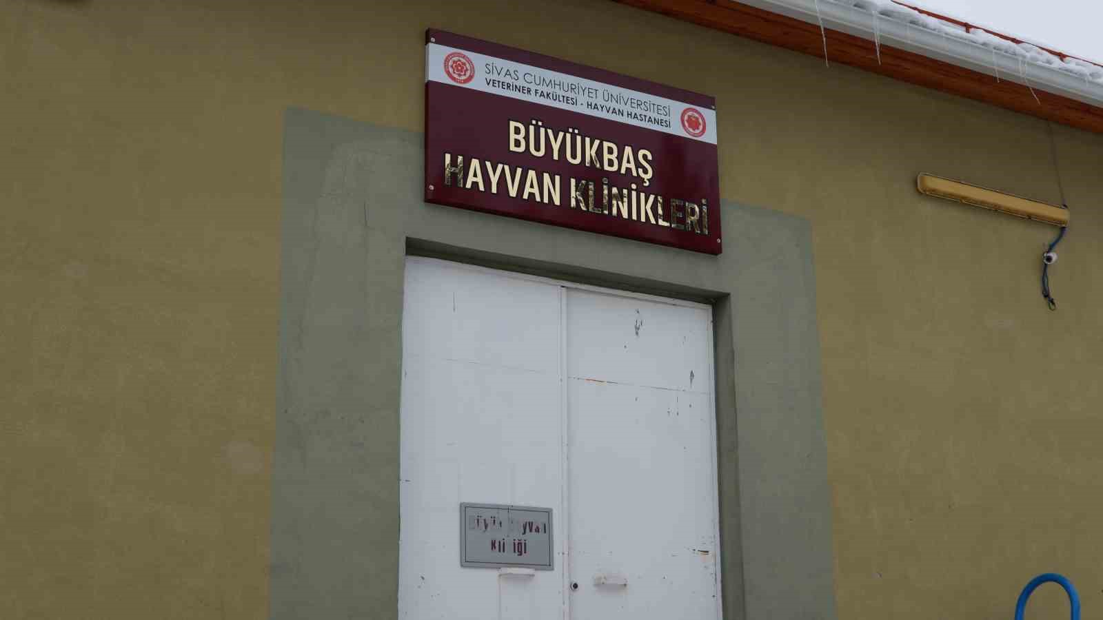 Sivas’ta açılan Acil Klinik’te yaralı hayvanlara mesai saatleri dışında da müdahale ediliyor