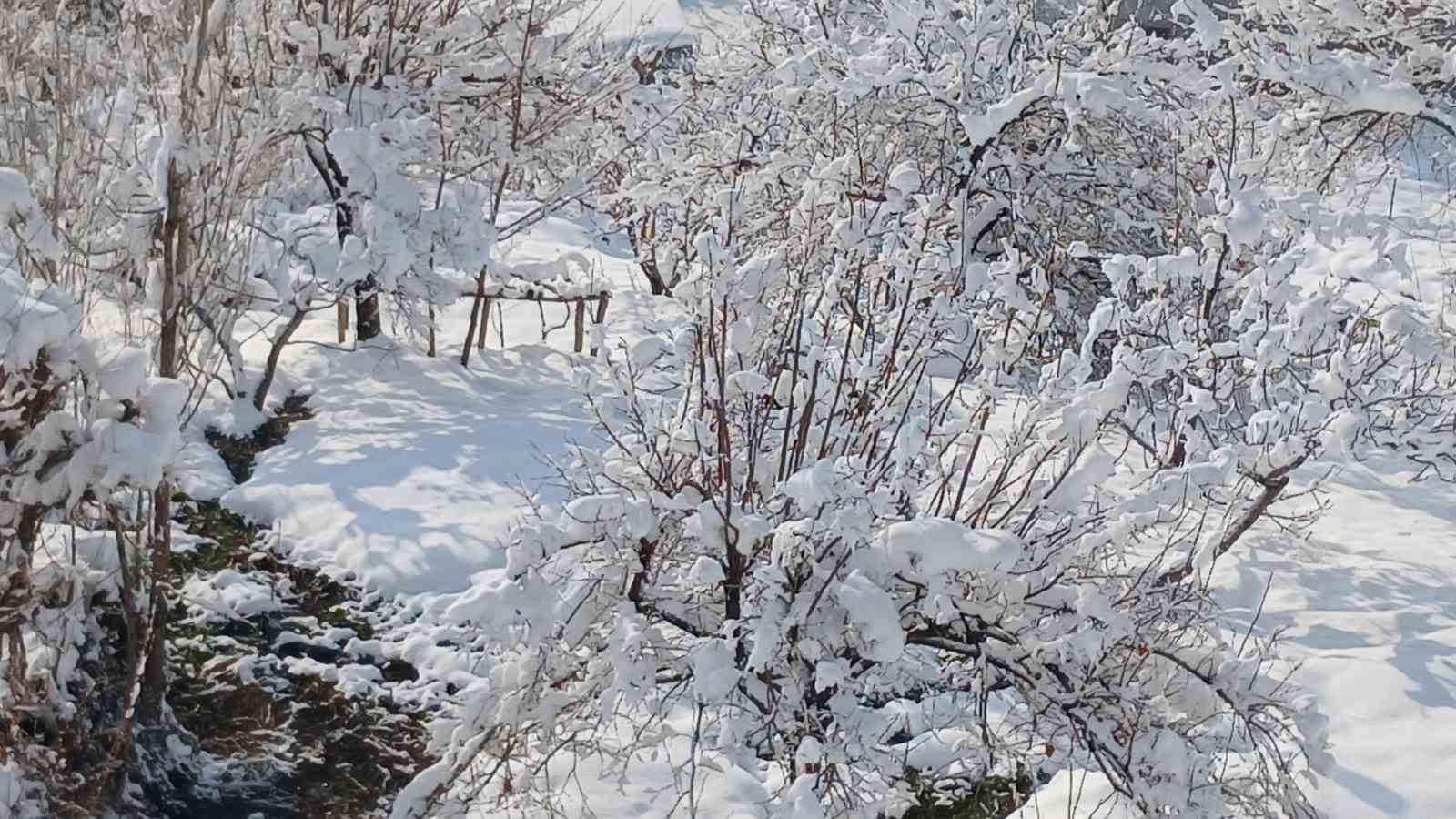 Kulp’ta kar manzaraları