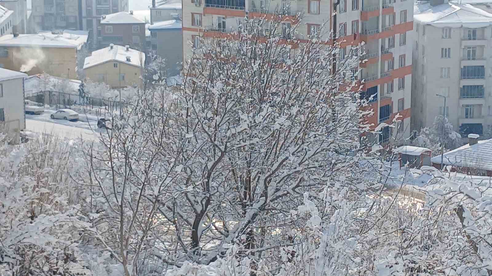 Kulp’ta kar manzaraları