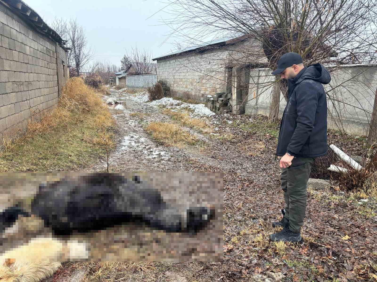 Erzincan’da at ve eşek silahla katledildi