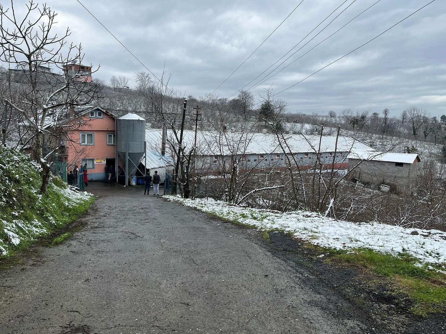 Alaplı’da kümes yangını korkuttu