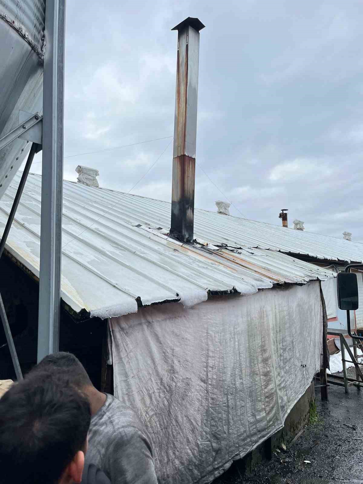 Alaplı’da kümes yangını korkuttu